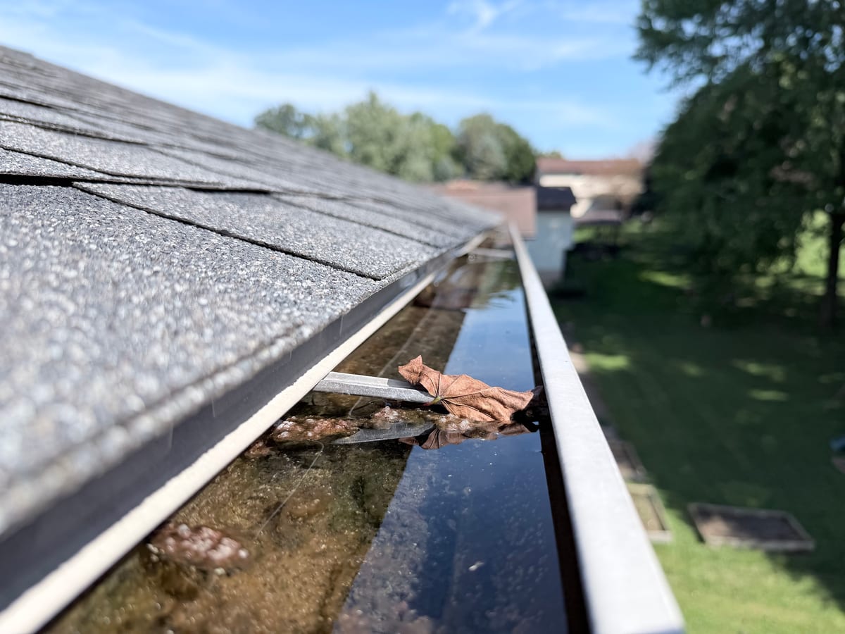 A full run of gutter holding standing water with a dead leaf, roof shingles above and the lawn below
