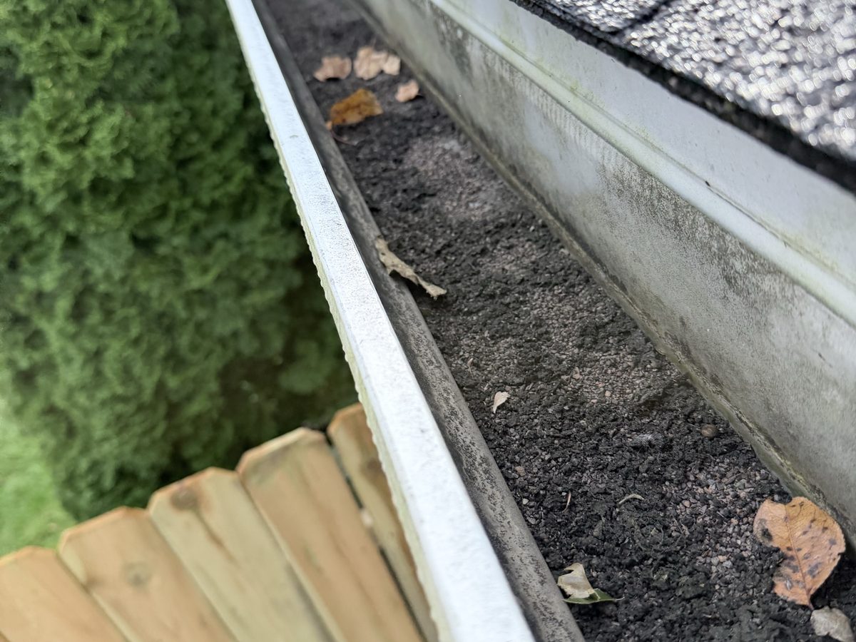 Gutter packed with shingle grit and leaves before a Guttrz cleaning