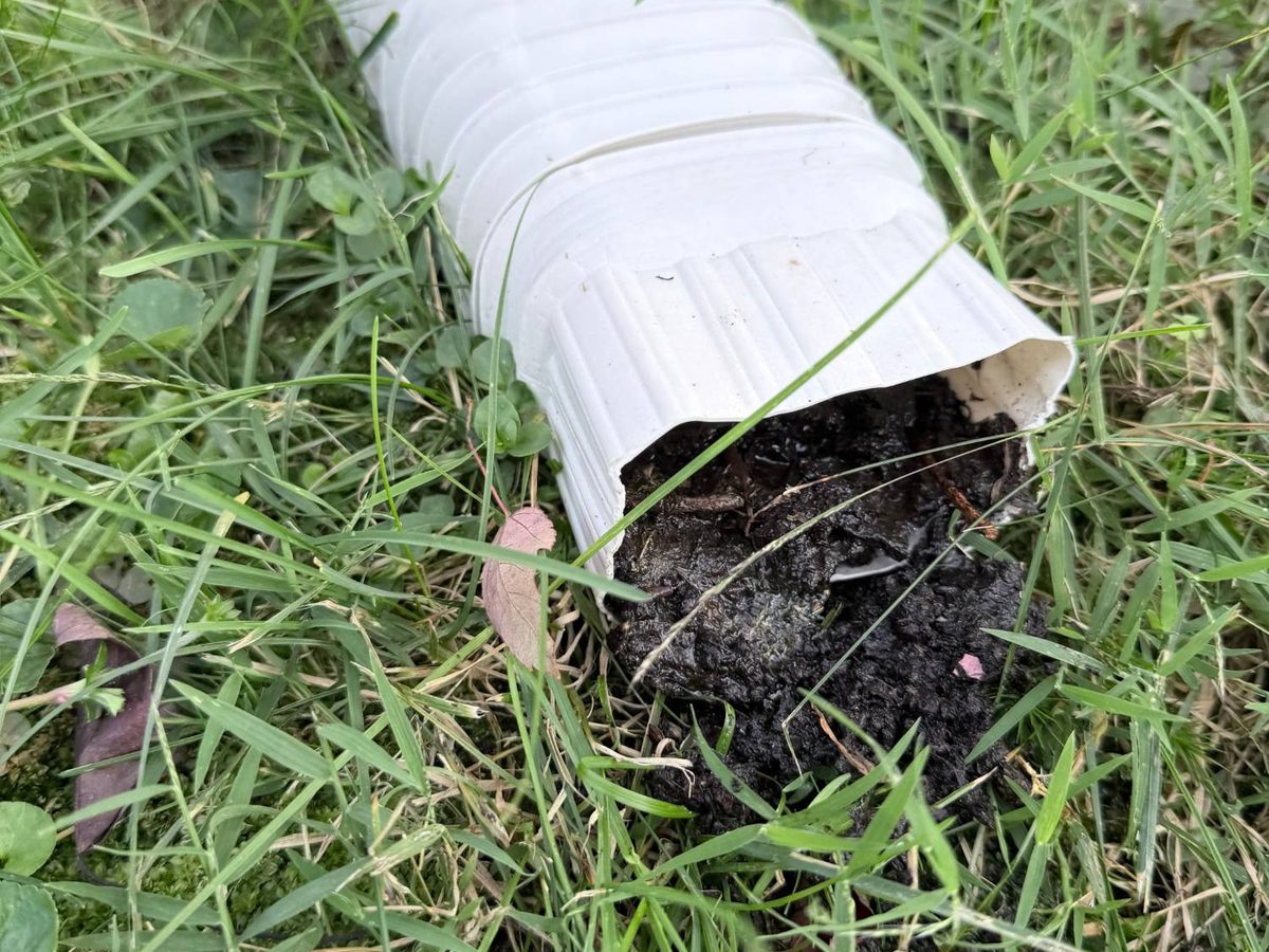 Black sludge packed inside a section of downspout