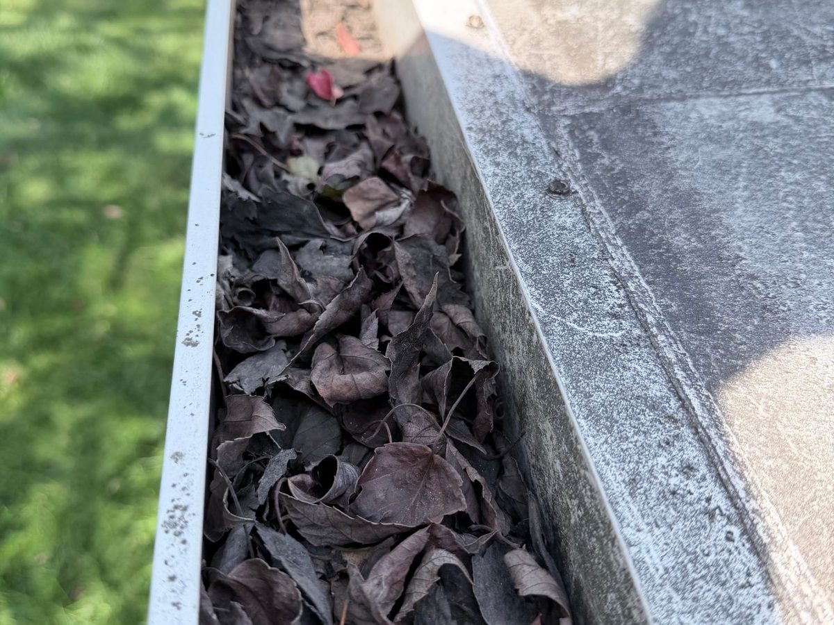 A gutter filled to the top with dark, matted leaves before cleaning