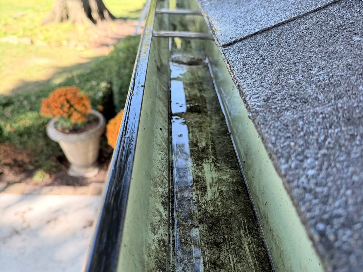 The same front gutter run after cleaning, rinsed and draining toward the downspout