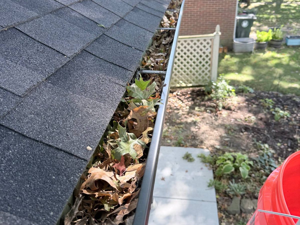 A back gutter filled to the edge with oak leaves, twigs and acorns before cleaning