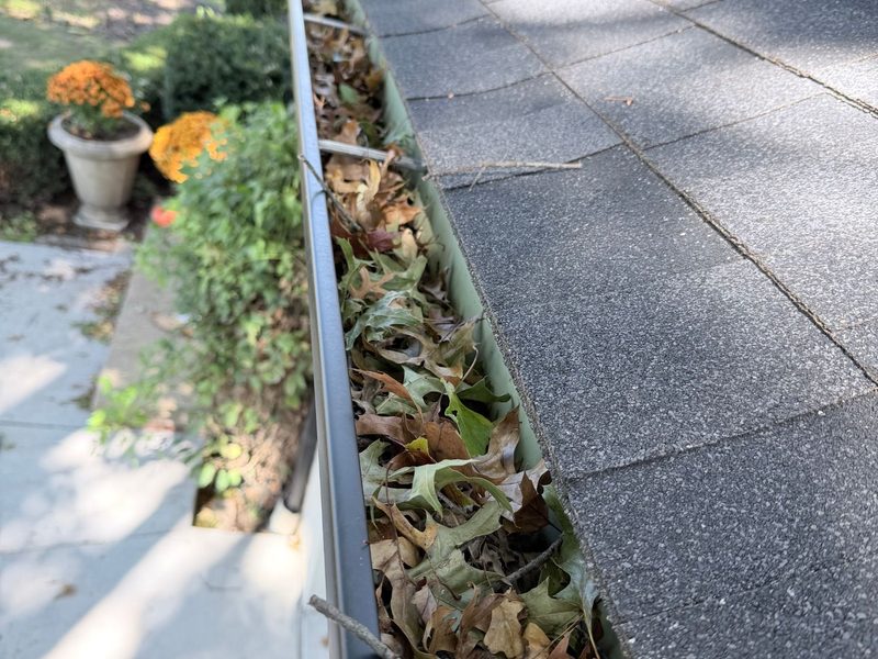 Front gutter of a North Canton ranch packed with oak leaves and twigs